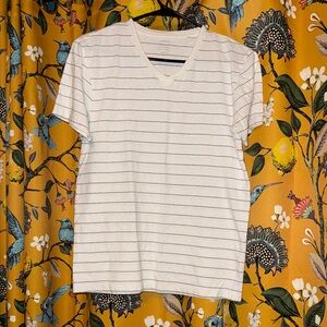 J. Crew White and Gray Striped V-Neck Tee